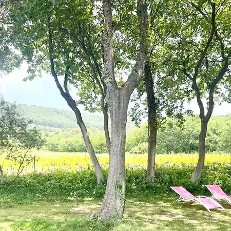 Entre Vignes Et Horizon Appartement Avec Jacuzzi Privatif Et Piscine Commune Chauffee Sablet Exterior foto