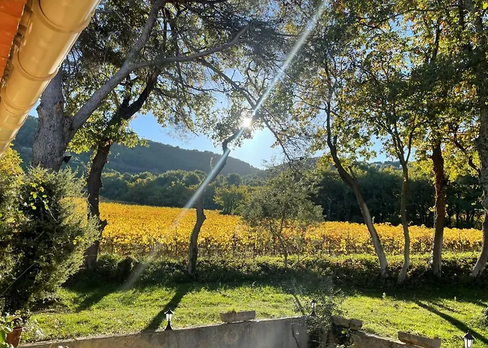 Entre Vignes Et Horizon Appartement Avec Jacuzzi Privatif Et Piscine Commune Chauffee