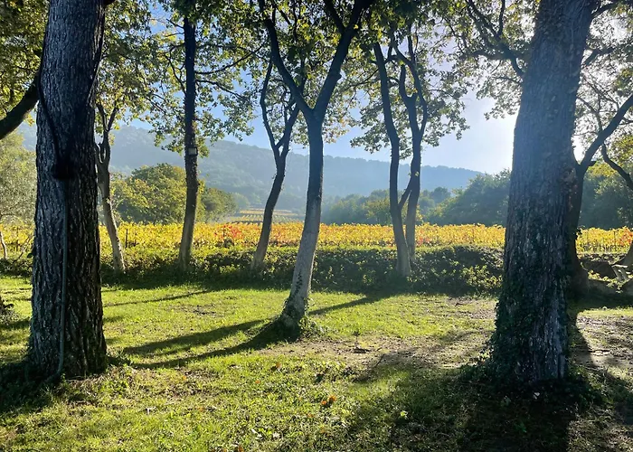 Entre Vignes Et Horizon Appartement Avec Jacuzzi Privatif Et Piscine Commune Chauffee