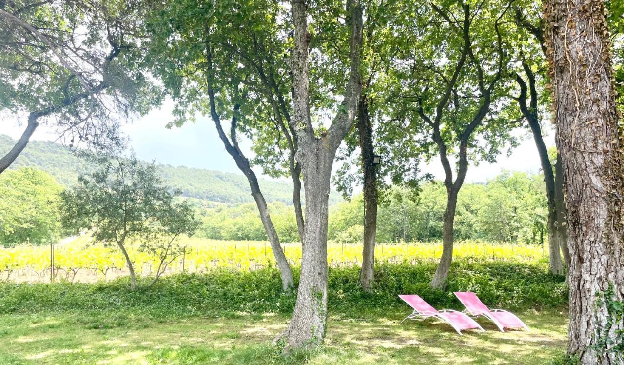 Entre Vignes Et Horizon Avec Jacuzzi Privatif Et Piscine Commune Chauffee *