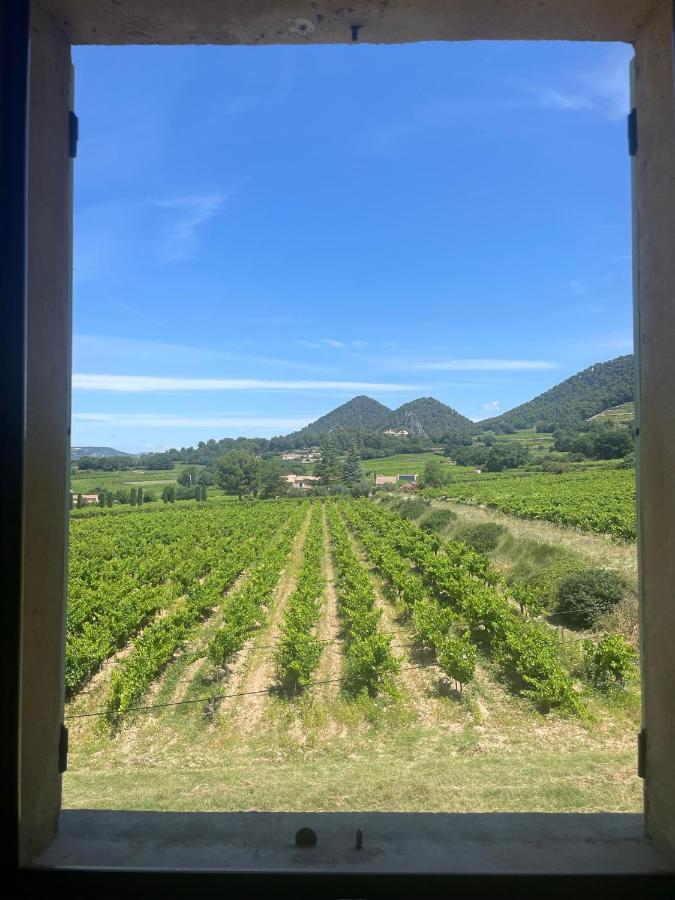 Entre Vignes Et Horizon Avec Jacuzzi Privatif Et Piscine Commune Chauffee Apartment *