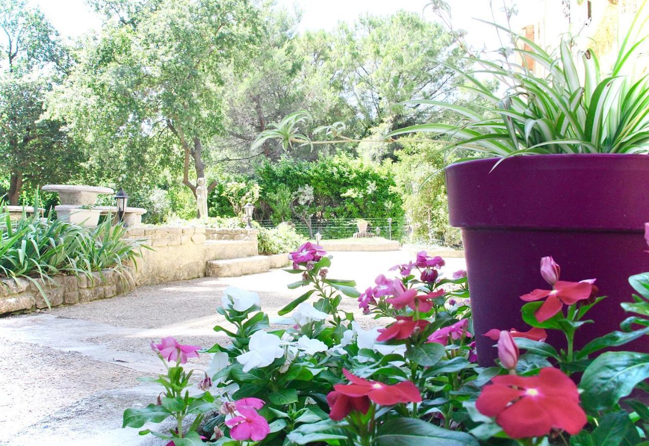 Entre Vignes Et Horizon Avec Jacuzzi Privatif Et Piscine Commune Chauffee