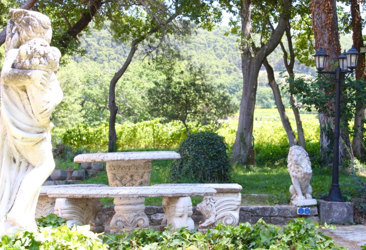 Entre Vignes Et Horizon Avec Jacuzzi Privatif Et Piscine Commune Chauffee Apartment