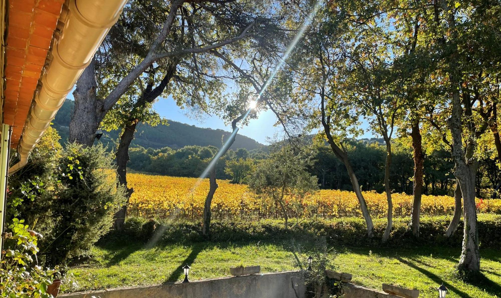 Entre Vignes Et Horizon Avec Jacuzzi Privatif Et Piscine Commune Chauffee Apartment Sablet