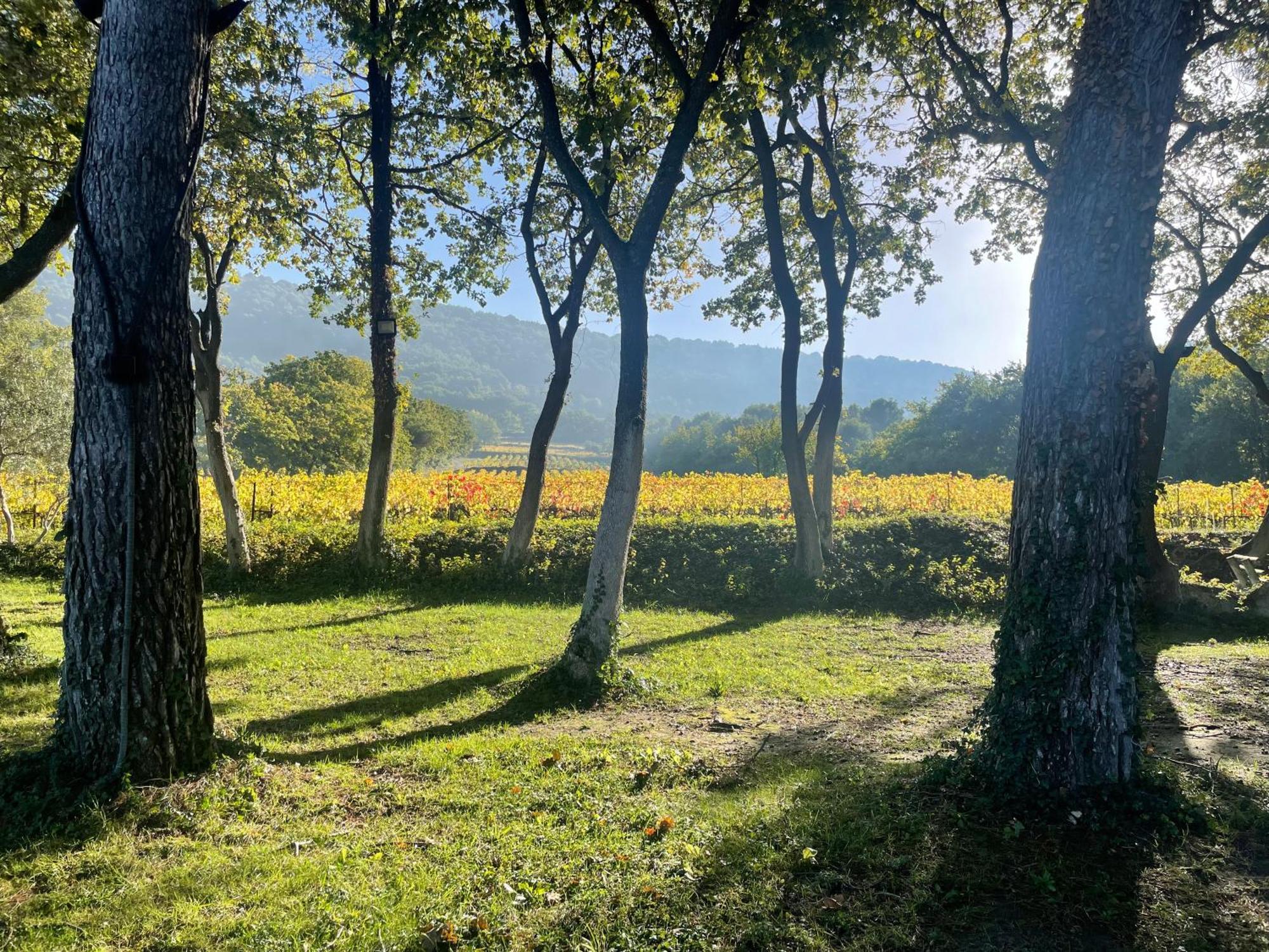Apartment Entre Vignes Et Horizon Avec Jacuzzi Privatif Et Piscine Commune Chauffee *